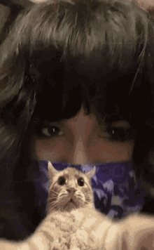 a woman wearing a purple scarf holds a cat on her shoulder .