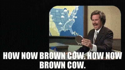 Hownow Browncow GIF - Hownow Browncow Anchorman GIFs