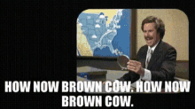Hownow Browncow GIF - Hownow Browncow Anchorman GIFs