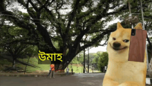 উমাহ Doge Bangla GIF - উমাহ Doge Bangla Doge Meme GIFs