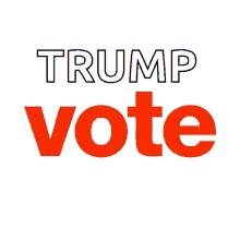 Trump Election GIF - Trump Election 2020 GIFs