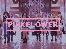 Pinkflower Flowerjoy GIF - Pinkflower Flowerjoy Sooya GIFs