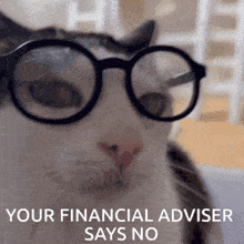 Financial Advisor Jet760 GIF - Financial Advisor Jet760 Says No GIFs