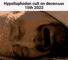 Hypsilophodon Hysi GIF - Hypsilophodon Hypsi Hysi GIFs