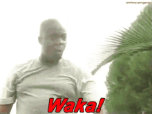 Waka You GIF - Waka You Nigerian GIFs