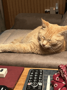 Time For A Nap GIF