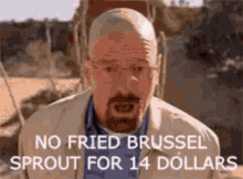 fried fried brussel sprout fried brussel sprout 14dollar