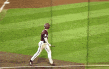 mississippi state baseball player wearing a maroon jersey
