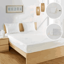 Bed Bug Proof Mattress Protectors Bed Bug Bed Protectors GIF