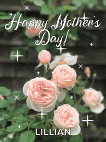 a mother 's day card with pink roses and the name lillian