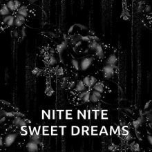 Nite Nite Nite GIF - Nite Nite Nite Sweet Dreams GIFs