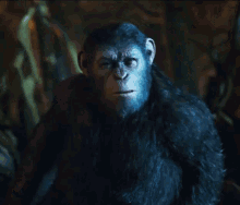Coming Over GIF - War For The Planet Of The Apes Caesar Andy Serkis GIFs