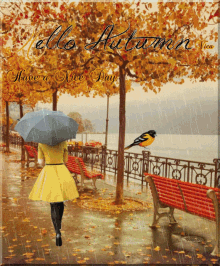 a woman walking in the rain with an umbrella and a bird sitting on a bench