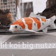 Schizoaz Lil Koi GIF - Schizoaz Lil Koi Big GIFs