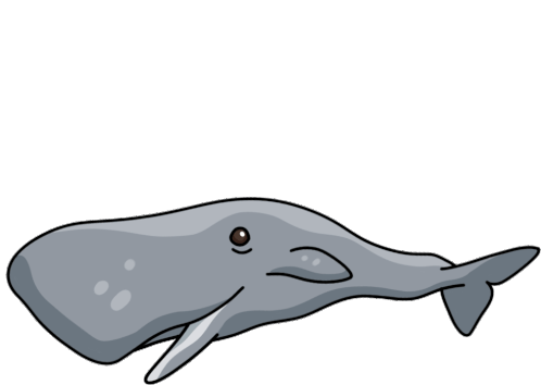 Whale Sperm Whale Sticker - Whale Sperm Whale Spermacet Whale - Discover &  Share GIFs