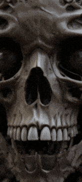 Teeth Skull Tooth GIF - Teeth Skull Tooth Psycho GIFs