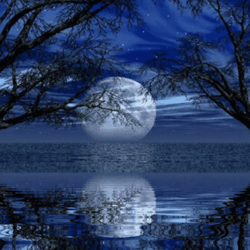 Luna Moon GIF - Luna Moon Night - Discover & Share GIFs