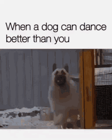 Dog Funny GIF - Dog Funny Relatable GIFs
