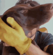 a man wearing a yellow glove is holding a brown dog .