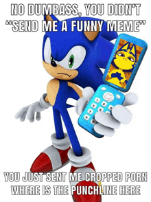 sonic the hedgehog is holding a flip phone with a picture of a cat on the screen