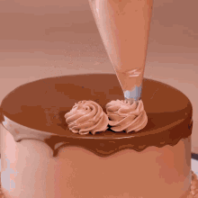 a chocolate cake with swirls of chocolate frosting on top