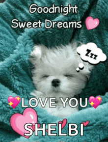 a puppy is wrapped in a blanket and says goodnight sweet dreams