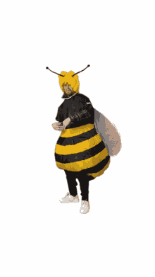 bee dance black and yellow wiggle cool bee