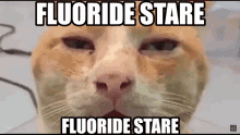 Fluoride Stare Fluoride GIF - Fluoride Stare Fluoride Stare GIFs