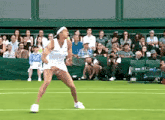 Caroline Garcia Tennis GIF - Caroline Garcia Tennis Wta GIFs