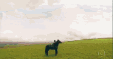 a man in a suit and tie is walking in a field next to a horse .