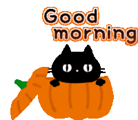 Good Morning Pumpkin Sticker