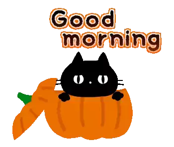 Good Morning Pumpkin Sticker - Good Morning Pumpkin Cat Stickers