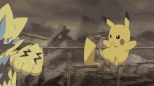 Zeraora Pokemon GIF - Zeraora Pokemon Fight GIFs