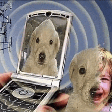 a person is holding a cell phone with a picture of a puppy on the screen .