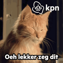 Funny Cute GIF - Funny Cute Party GIFs