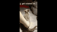Get Rotated Lol GIF - Get Rotated Lol GIFs