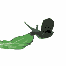 lettuce snail