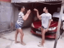Gay Fighting GIF - Gay Fighting Cat Fight GIFs