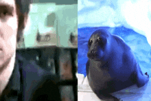 a blurry picture of a man and a seal on a blue surface