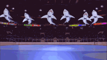 a group of sharks are jumping in the air in a hockey arena