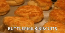 Biscuit Food GIF
