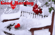 Good Morning Roses GIF - Good Morning Roses Snow GIFs