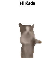 Hello Kade Kade 1 Sticker