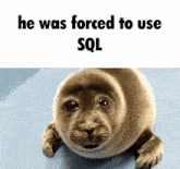 He Was Forced To Use Sql GIF