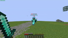 a screenshot of a minecraft game with the name swift on the top