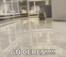 a blurry picture of a cat walking in a room with the words `` gn ceres ! ''