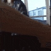 a blurred image of a cat sitting on a window sill