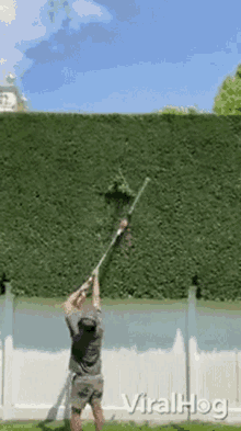 GIF