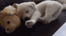 Doggy Puppy GIF - Doggy Puppy Morning Stretch GIFs