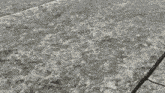 a close up of a person 's foot on a concrete surface